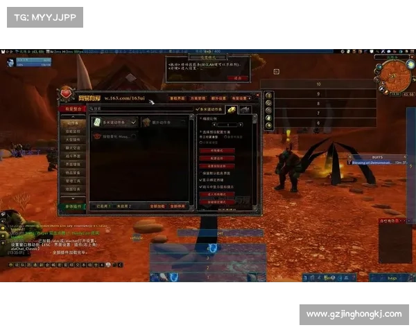 魔兽世界插件：副本全图视角中心