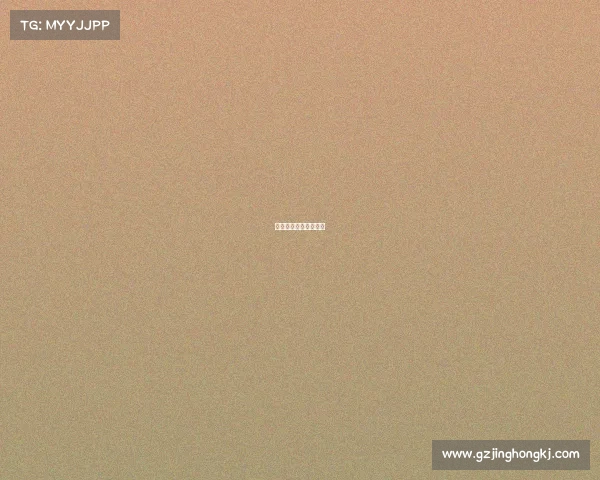 高盛电子商务有限公司